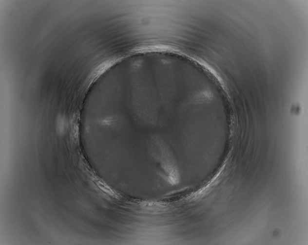 X0000099380921200806051117