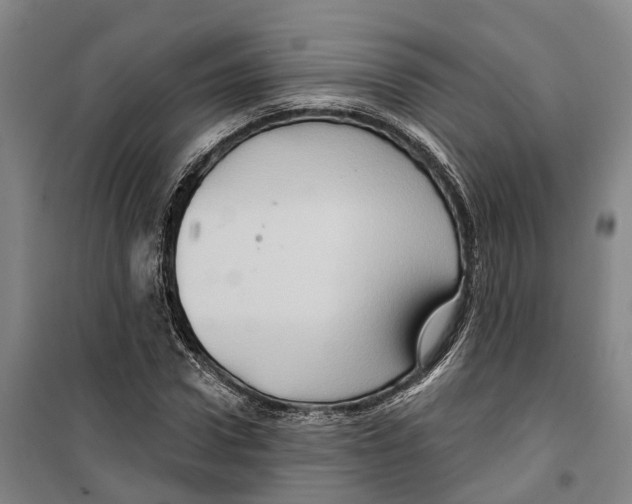 X0000099380922200806051117