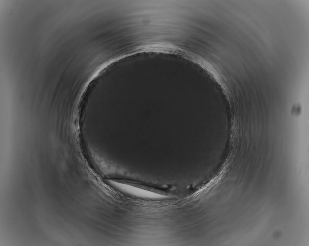 X0000099380923200806051117