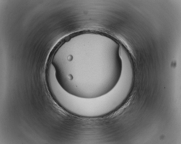 X0000099380924200806051117