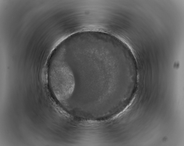 X0000099380925200806051117