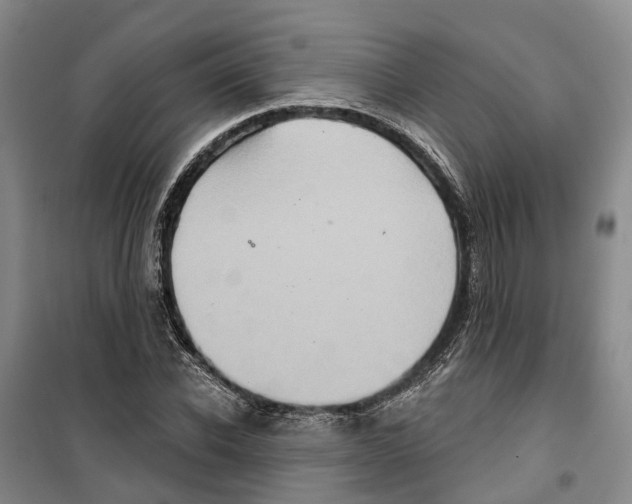 X0000099380926200806051117