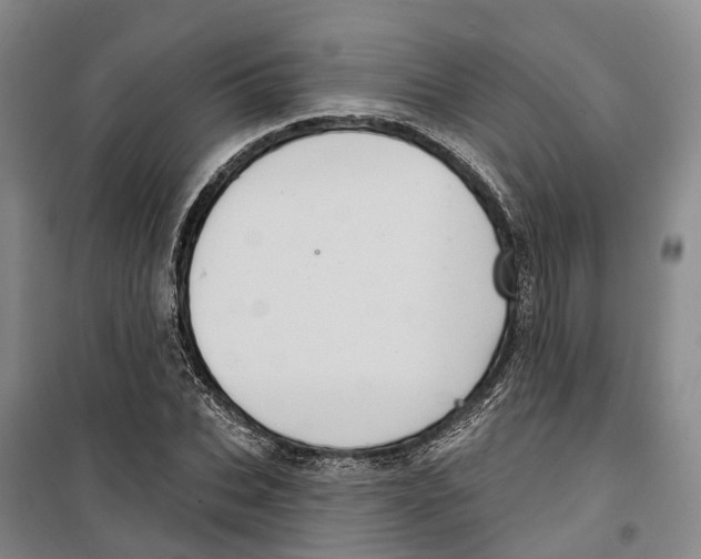 X0000099380927200806051117