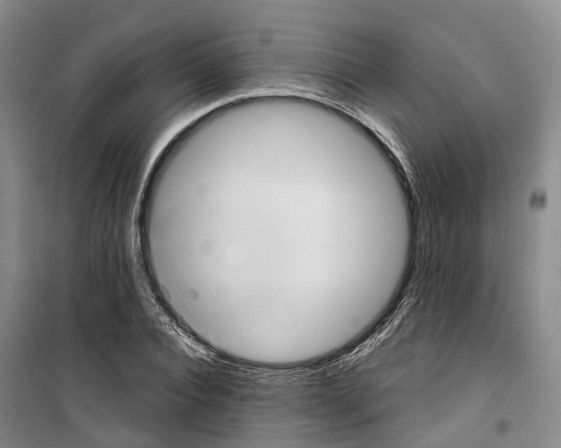 X0000099380928200806051117