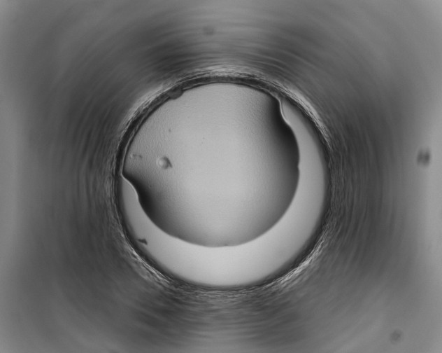 X0000099380930200806051117