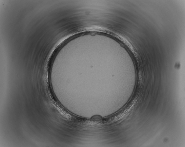 X0000099380931200806051117