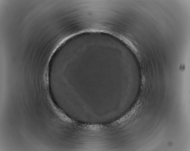 X0000099380934200806051117