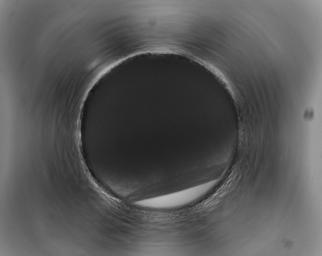 X0000099380935200806051117