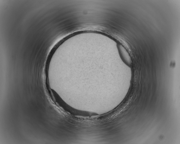 X0000099380936200806051117
