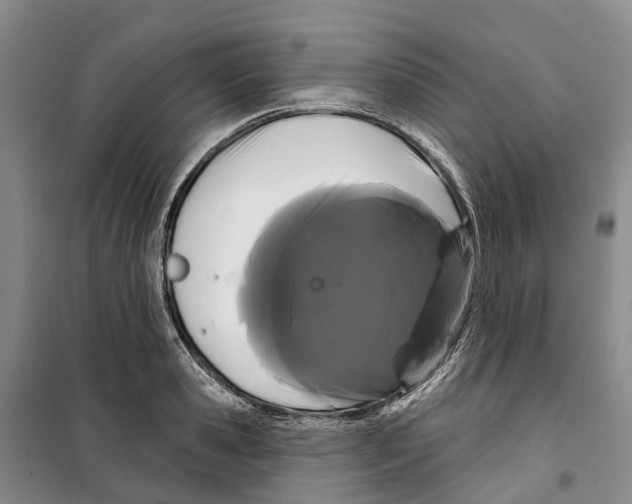 X0000099380941200806051118