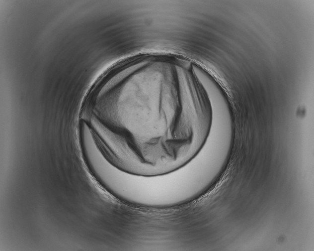 X0000099380942200806051118