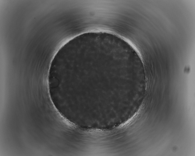 X0000099380943200806051118