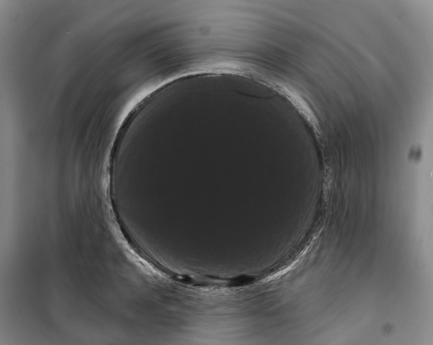 X0000099380944200806051118