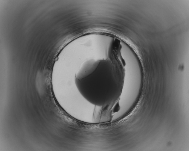 X0000099380945200806051118