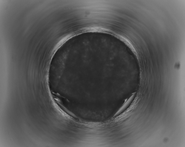 X0000099380946200806051118