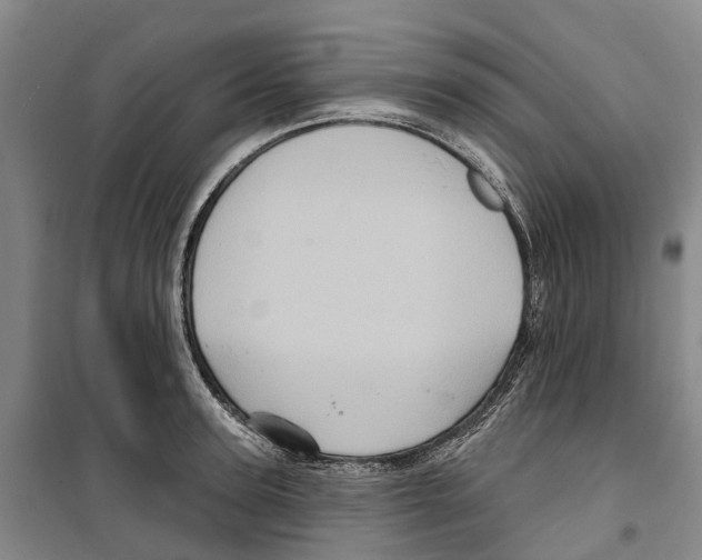 X0000099380947200806051118