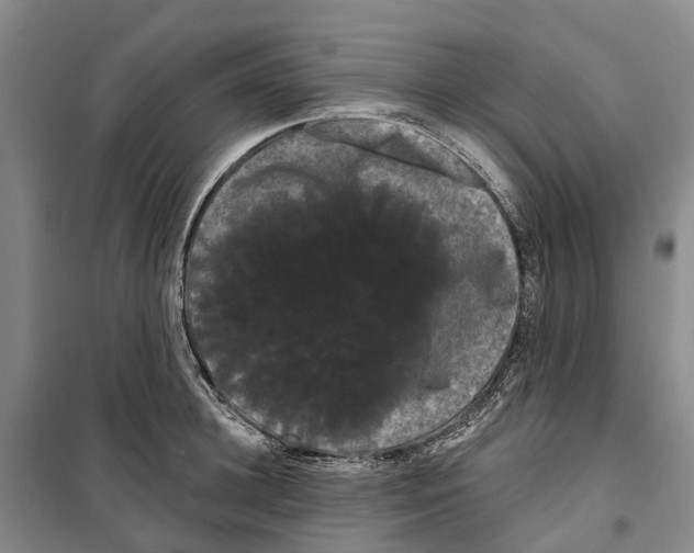 X0000099380948200806051118