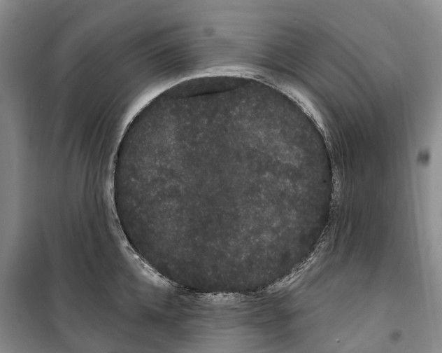 X0000099380952200806051118