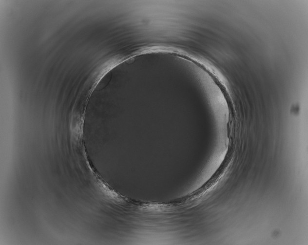 X0000099380953200806051118