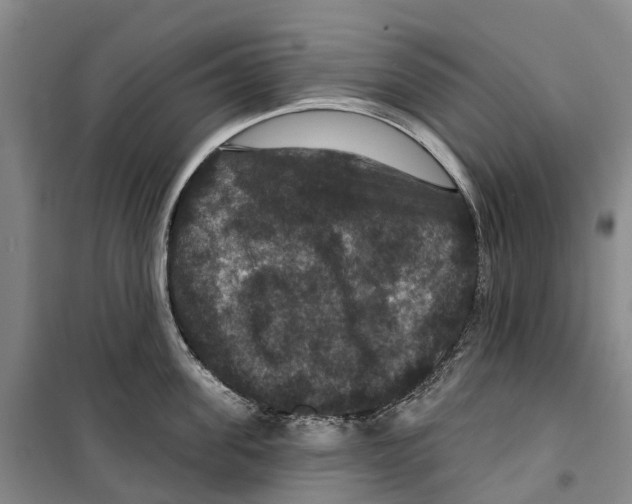 X0000099380955200806051118