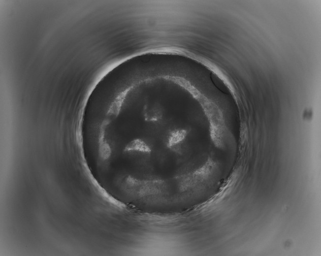 X0000099380959200806051118