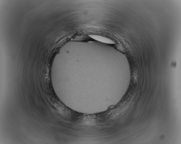 X0000099380964200806051117