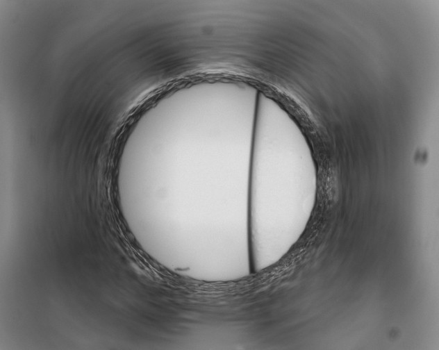 X0000099380968200806051117