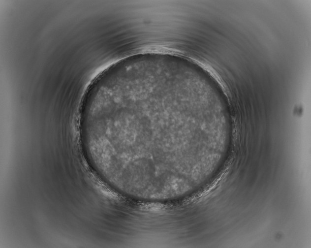 X0000099380971200806051117