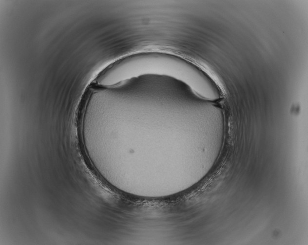 X0000099380972200806051117