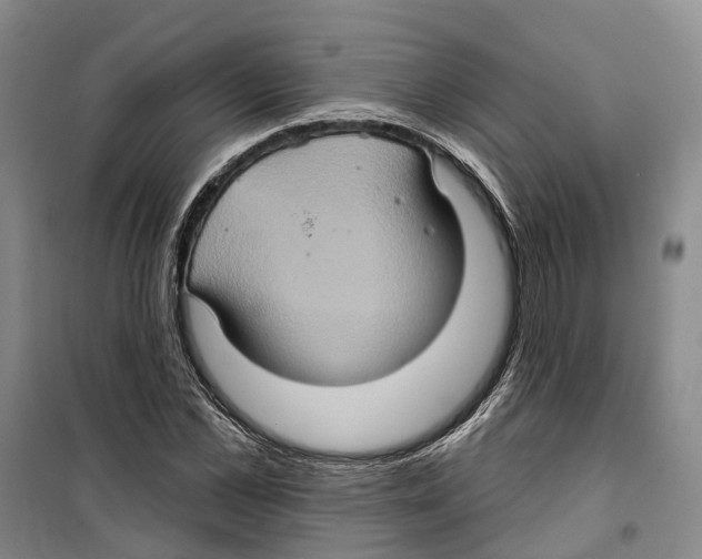 X0000099380973200806051117
