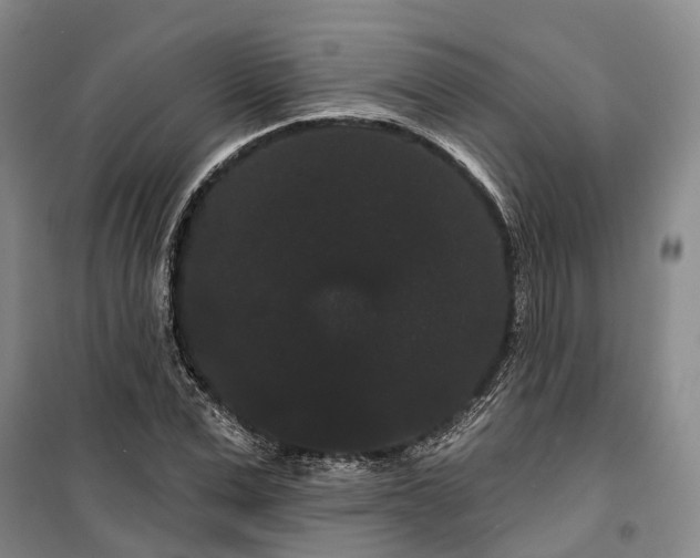 X0000099380975200806051117