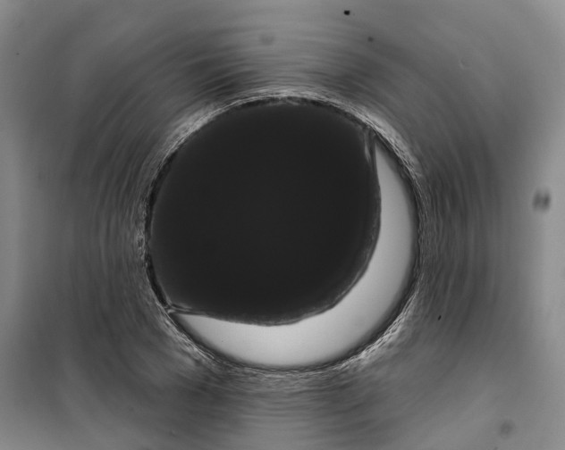 X0000099380977200806051117