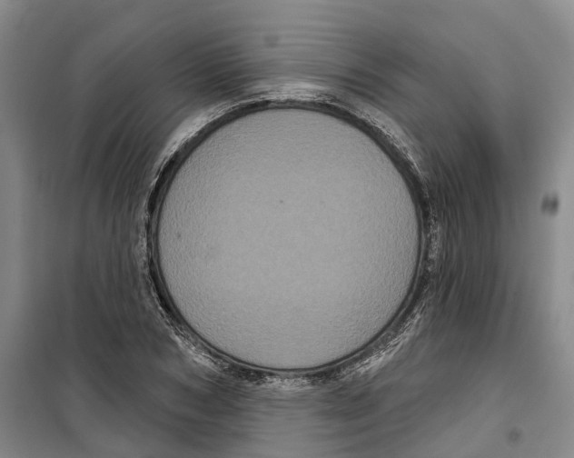 X0000099380978200806051117