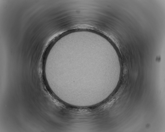 X0000099380979200806051117