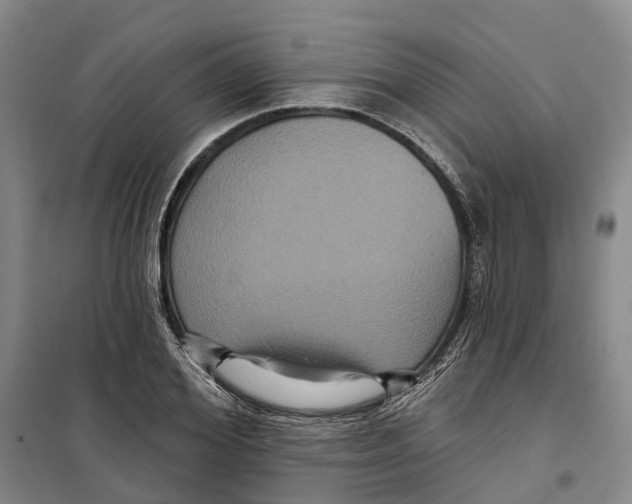 X0000099380980200806051117