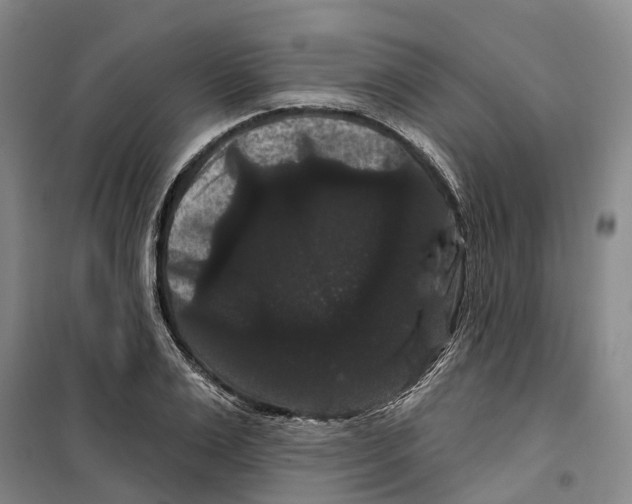 X0000099380983200806051117