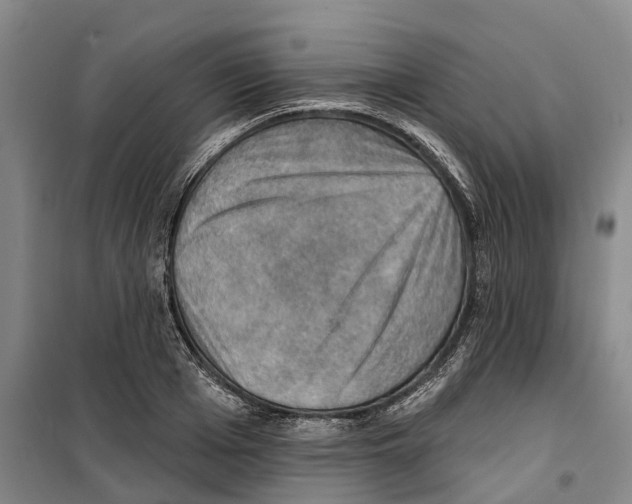 X0000099380985200806051117