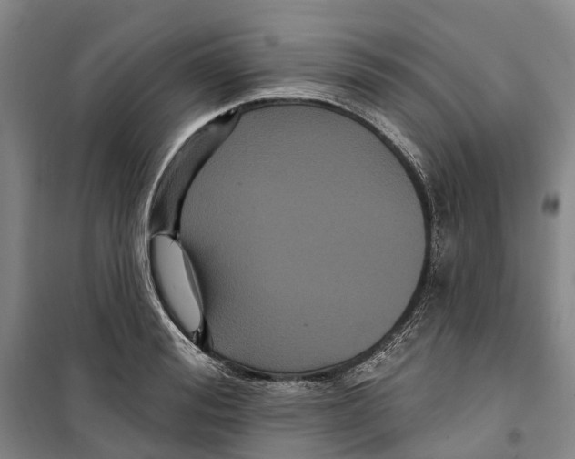 X0000099380988200806051117
