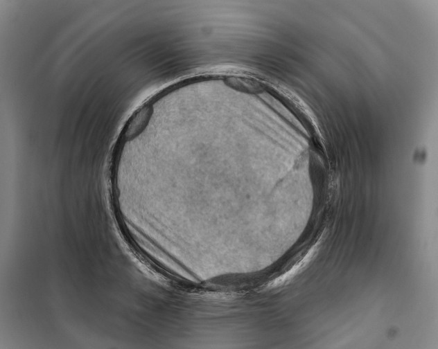 X0000099380989200806051117