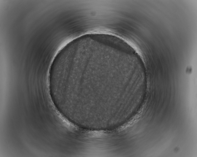 X0000099380990200806051117