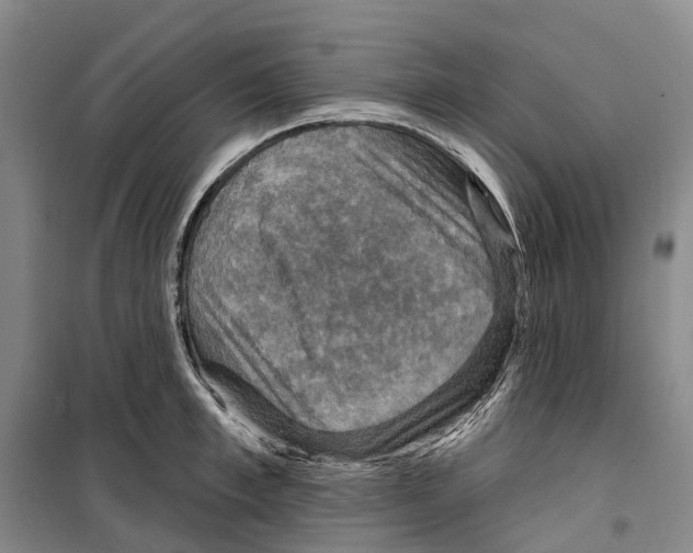 X0000099380997200806051117