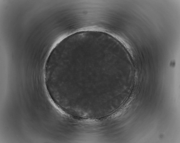 X0000099380998200806051117