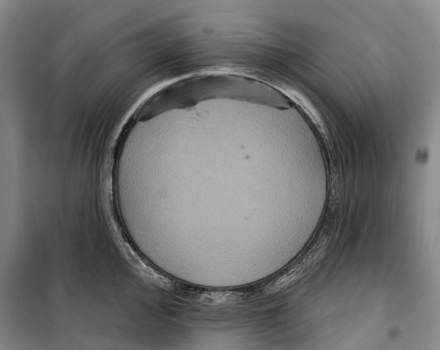 X0000099381000200806051117