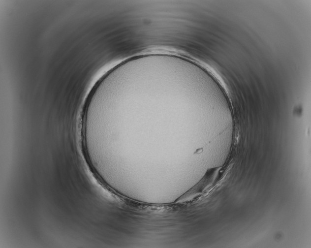 X0000099381003200806051116
