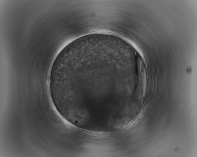 X0000099381007200806051116