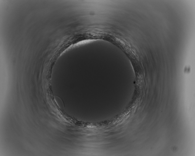 X0000099381009200806051115