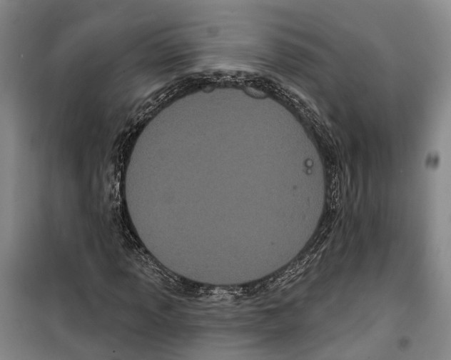 X0000099381013200806051116