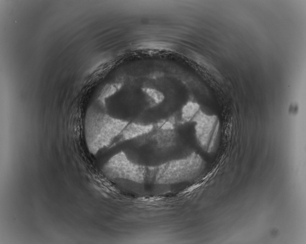 X0000099381014200806051116