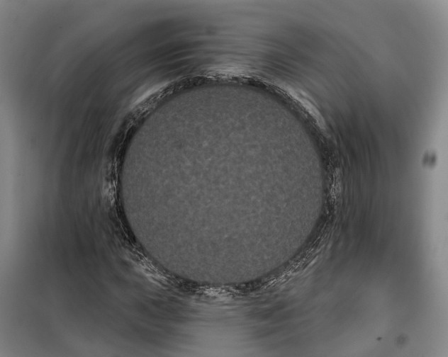 X0000099381015200806051116