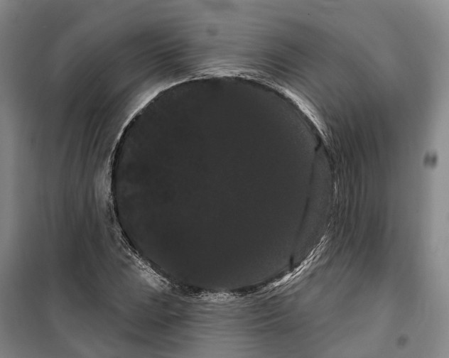 X0000099381023200806051116